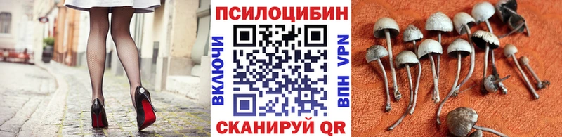 Псилоцибиновые грибы Cubensis Суздаль