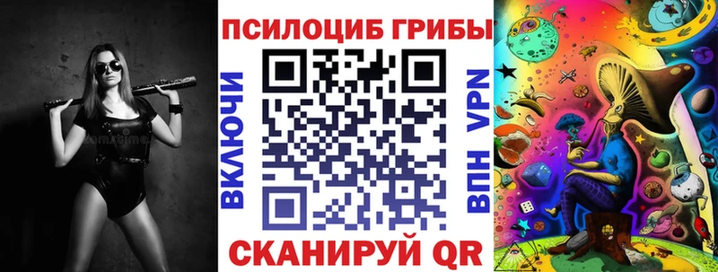 купить  сайты  Суздаль  Псилоцибиновые грибы Magic Shrooms 