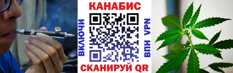 продажа наркотиков  Суздаль  Марихуана план 